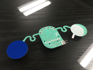 A circuit for a EKG monitoring device 